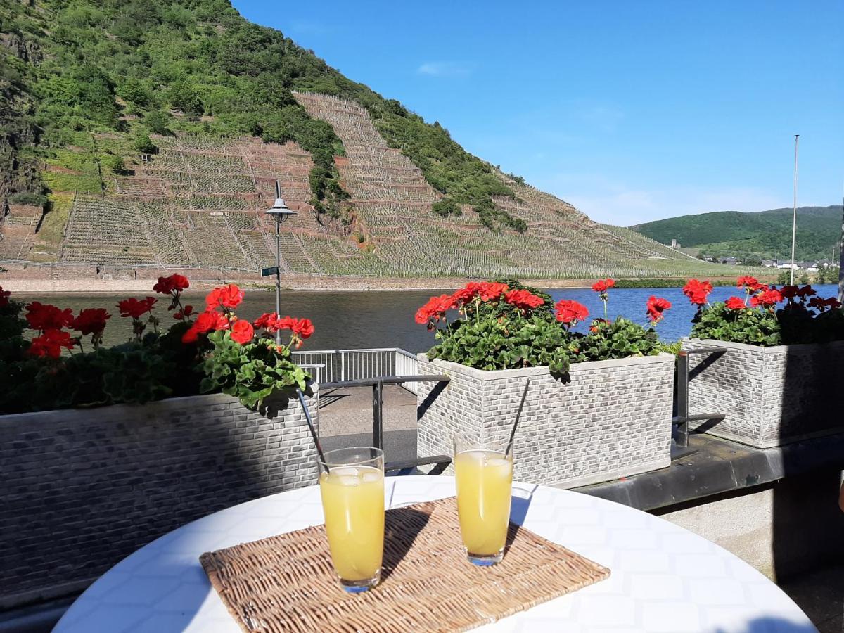 Mosel-Landhaus Am Moselufer B&B Briedern エクステリア 写真