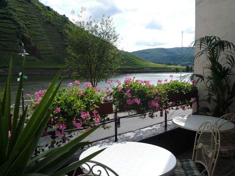 Mosel-Landhaus Am Moselufer B&B Briedern エクステリア 写真