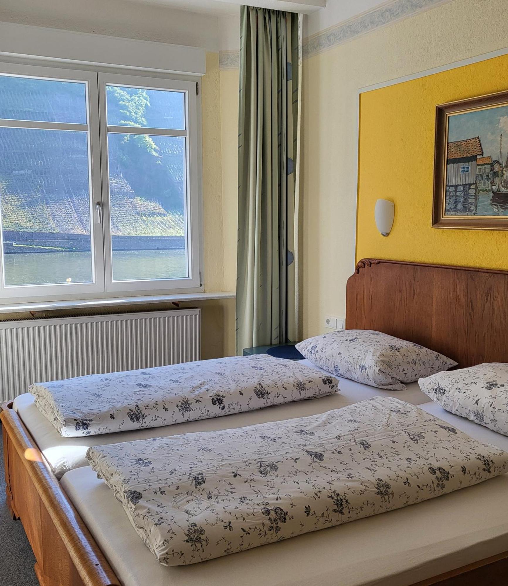 Mosel-Landhaus Am Moselufer B&B Briedern エクステリア 写真