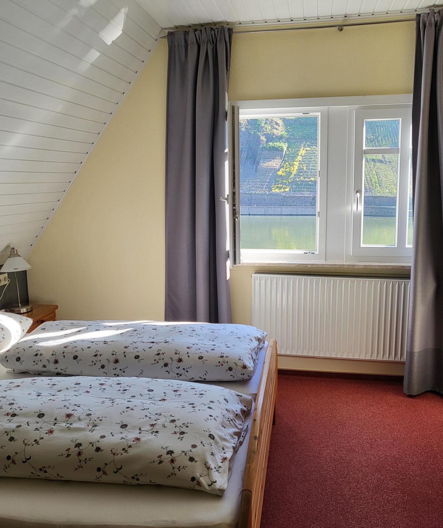 Mosel-Landhaus Am Moselufer B&B Briedern エクステリア 写真