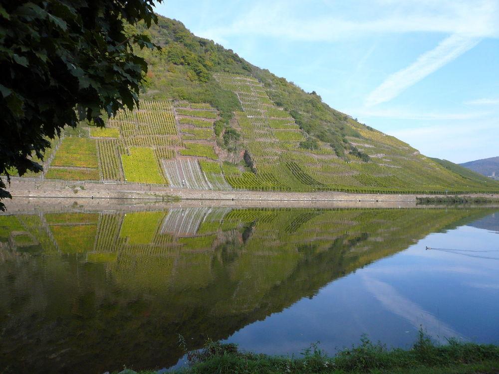 Mosel-Landhaus Am Moselufer B&B Briedern エクステリア 写真