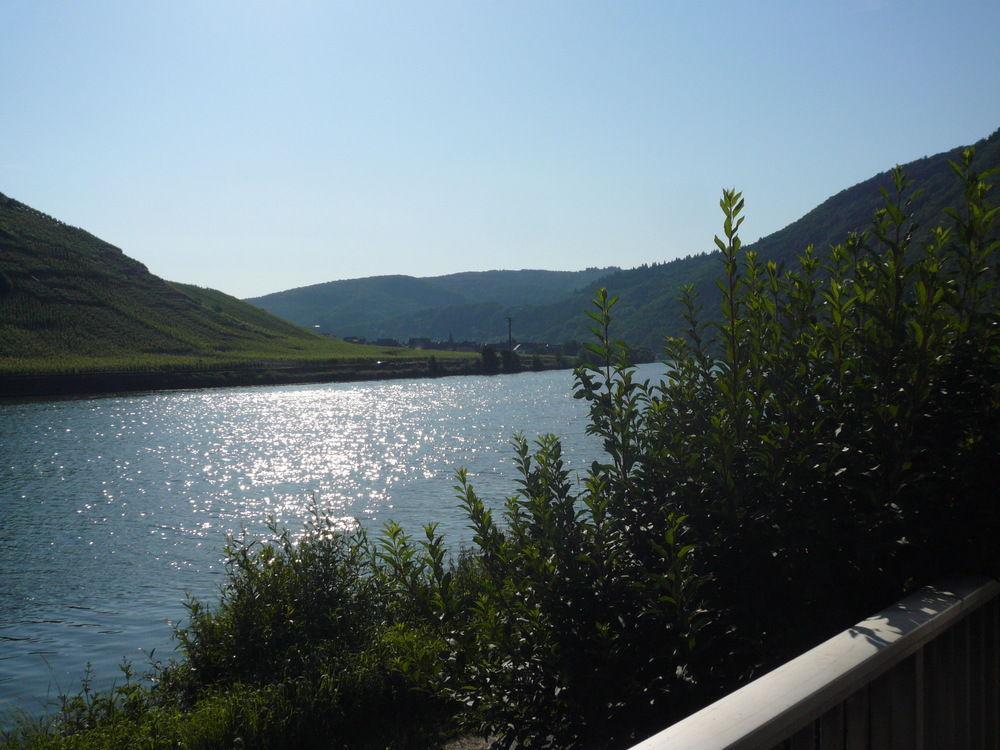Mosel-Landhaus Am Moselufer B&B Briedern エクステリア 写真