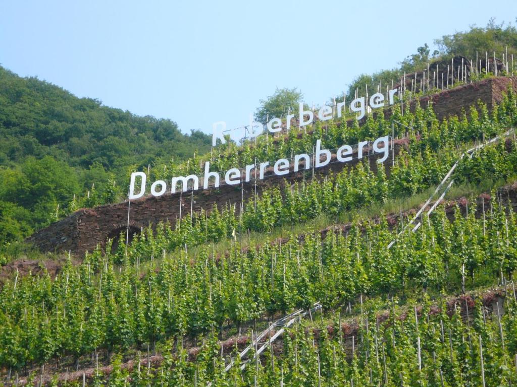 Mosel-Landhaus Am Moselufer B&B Briedern エクステリア 写真