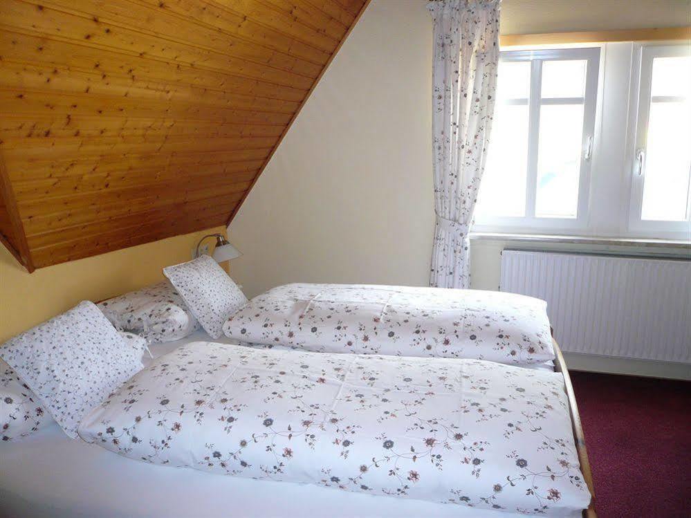 Mosel-Landhaus Am Moselufer B&B Briedern エクステリア 写真
